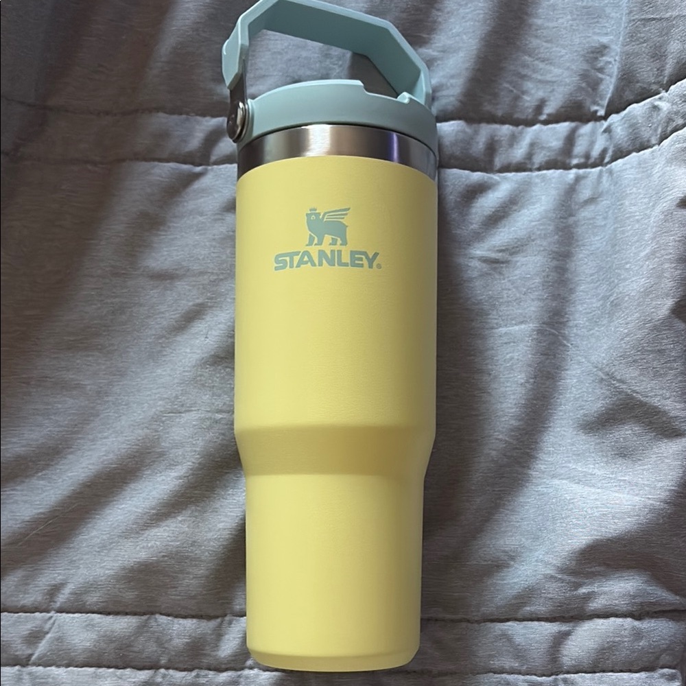 Stanley 30oz Tumbler